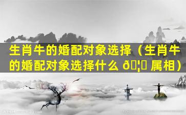 生肖牛的婚配对象选择（生肖牛的婚配对象选择什么 🦍 属相）